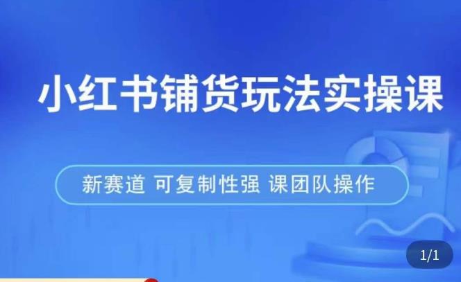 小红书铺货玩法实操课，流量大，竞争小，非常好做，新赛道，可复制性强，可团队操作网赚项目-副业赚钱-互联网创业-独家轻创IP星泽云创