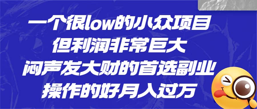 一个很low的小众项目，但利润非常巨大，闷声发大财的首选副业，月入过万网赚项目-副业赚钱-互联网创业-独家轻创IP星泽云创