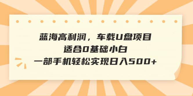 蓝海高利润，车载U盘项目，适合0基础小白，一部手机轻松实现日入500+网赚项目-副业赚钱-互联网创业-独家轻创IP星泽云创