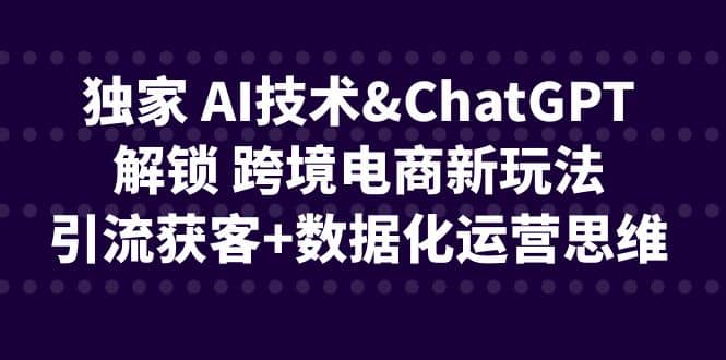 独家 AI技术ChatGPT解锁 跨境电商新玩法，引流获客+数据化运营思维网赚项目-副业赚钱-互联网创业-独家轻创IP星泽云创