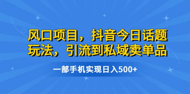 风口项目，抖音今日话题玩法，引流到私域卖单品，一部手机实现日入500+网赚项目-副业赚钱-互联网创业-独家轻创IP星泽云创