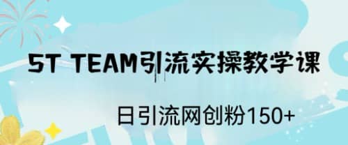 ST TEAM引流实操课，日引流网创粉100+网赚项目-副业赚钱-互联网创业-独家轻创IP星泽云创
