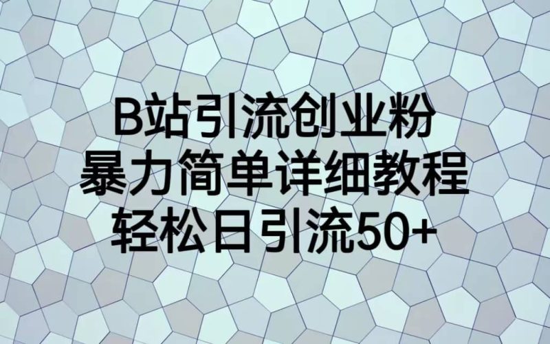 B站引流创业粉，暴力简单详细教程，轻松日引流50+网赚项目-副业赚钱-互联网创业-独家轻创IP星泽云创
