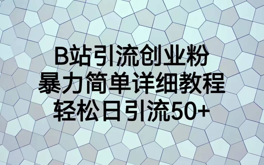 B站引流创业粉，暴力简单详细教程，轻松日引流50+网赚项目-副业赚钱-互联网创业-独家轻创IP星泽云创