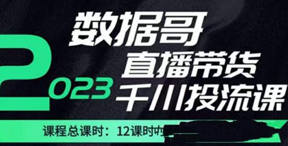 数据哥2023直播电商巨量千川付费投流实操课，快速掌握直播带货运营投放策略网赚项目-副业赚钱-互联网创业-独家轻创IP星泽云创