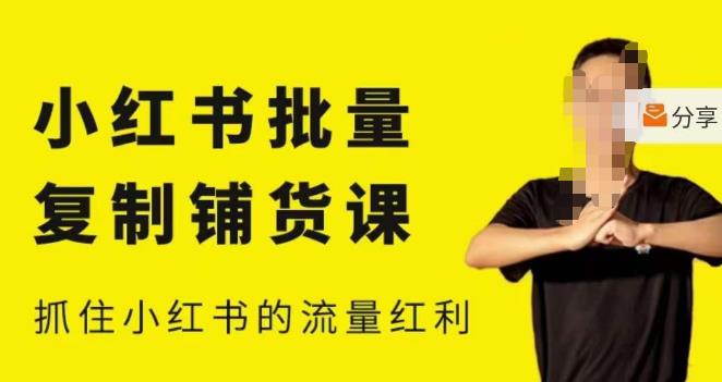 张宾·小红书批量复制铺货课，小红书0-1快速起号变现玩法，抓住小红书的流量红利（更新2023年3月）网赚项目-副业赚钱-互联网创业-独家轻创IP星泽云创