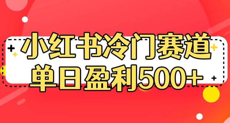 小红书冷门赛道，单日盈利500+【揭秘】网赚项目-副业赚钱-互联网创业-独家轻创IP星泽云创