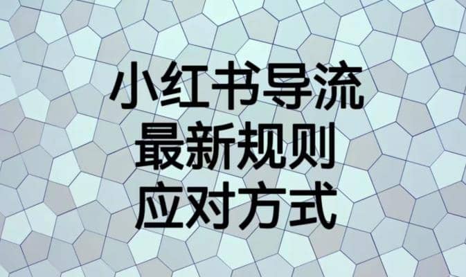 小红书导流最新规则应对方式【揭秘】网赚项目-副业赚钱-互联网创业-独家轻创IP星泽云创