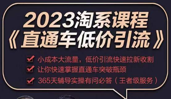 2023直通车低价引流玩法课程，小成本大流量，低价引流快速拉新收割，让你快速掌握直通车突破瓶颈网赚项目-副业赚钱-互联网创业-独家轻创IP星泽云创