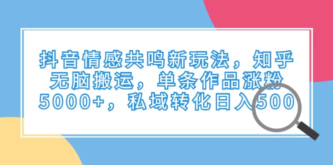 抖音情感共鸣新玩法，知乎无脑搬运，单条作品涨粉5000+，私域转化日入500网赚项目-副业赚钱-互联网创业-独家轻创IP星泽云创