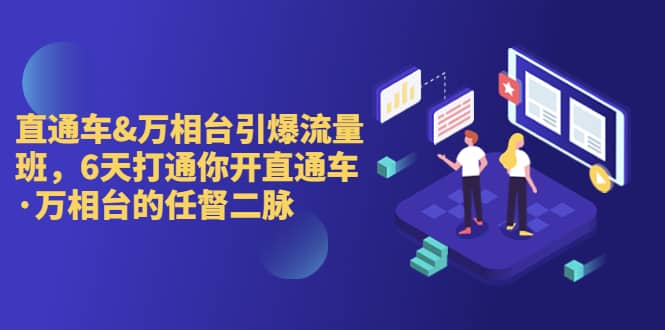 直通车+万相台引爆流量班，6天打通你开直通车·万相台的任督 二脉网赚项目-副业赚钱-互联网创业-独家轻创IP星泽云创