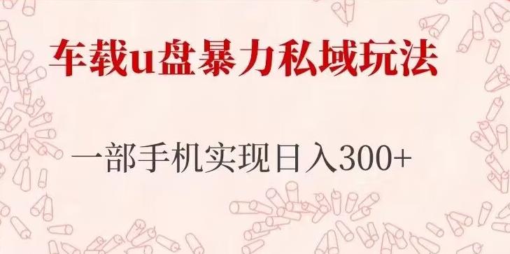 车载u盘暴力私域玩法，长期项目，仅需一部手机实现日入300+网赚项目-副业赚钱-互联网创业-独家轻创IP星泽云创