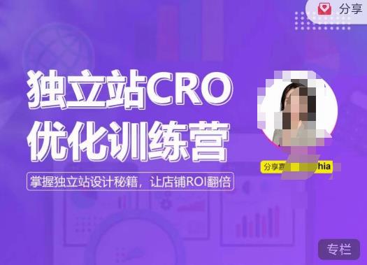 独立站CRO优化训练营，掌握独立站设计秘籍，打造高转化的独立站，让店铺ROI翻倍网赚项目-副业赚钱-互联网创业-独家轻创IP星泽云创