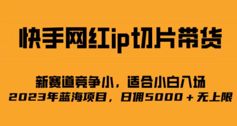 快手网红ip切片新赛道，竞争小事，适合小白 2023蓝海项目网赚项目-副业赚钱-互联网创业-独家轻创IP星泽云创