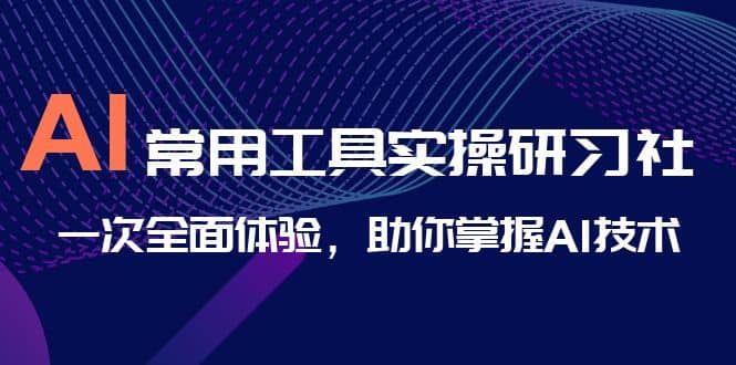 AI-常用工具实操研习社，一次全面体验，助你掌握AI技术网赚项目-副业赚钱-互联网创业-独家轻创IP星泽云创