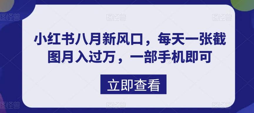 八月新风口，小红书虚拟项目一天收入1000+，实战揭秘网赚项目-副业赚钱-互联网创业-独家轻创IP星泽云创