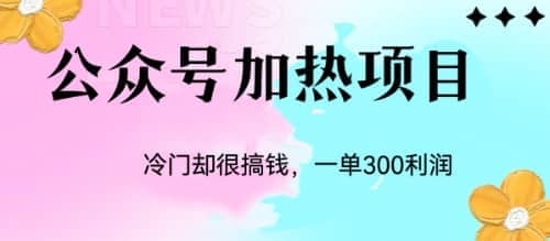冷门公众号加热项目，一单利润300+网赚项目-副业赚钱-互联网创业-独家轻创IP星泽云创
