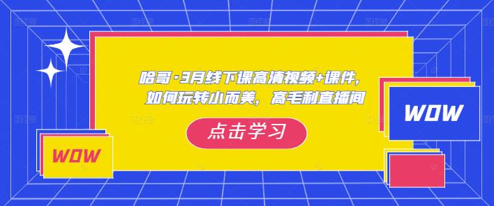 哈哥·3月线下实操课高清视频+课件，如何玩转小而美，高毛利直播间网赚项目-副业赚钱-互联网创业-独家轻创IP星泽云创