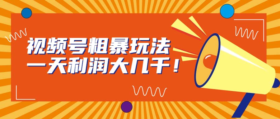 视频号粗暴玩法，一天利润大几千网赚项目-副业赚钱-互联网创业-独家轻创IP星泽云创