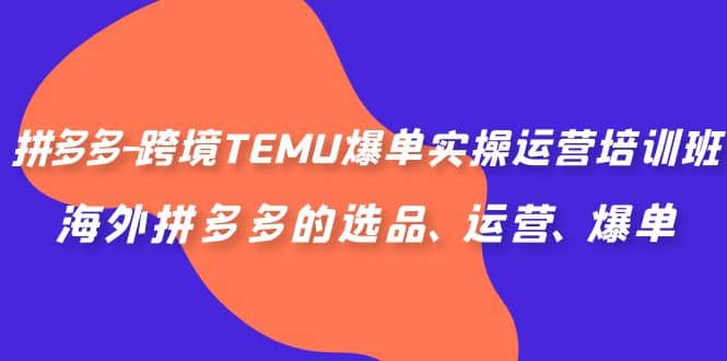 拼多多-跨境TEMU爆单实操运营培训班，海外拼多多的选品、运营、爆单网赚项目-副业赚钱-互联网创业-独家轻创IP星泽云创