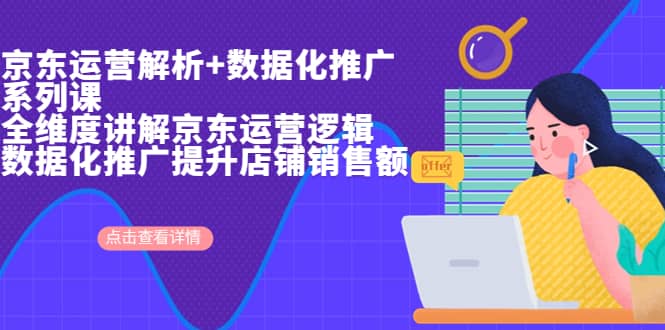 京东运营解析与数据化推广系列课，全维度讲解京东运营逻辑+数据化推广提升店铺销售额网赚项目-副业赚钱-互联网创业-独家轻创IP星泽云创
