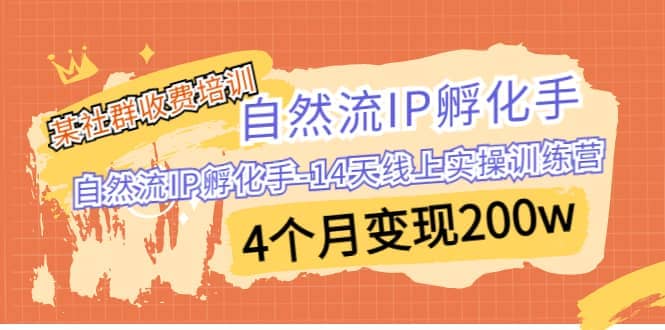 某社群收费培训：自然流IP 孵化手-14天线上实操训练营 4个月变现200w网赚项目-副业赚钱-互联网创业-独家轻创IP星泽云创