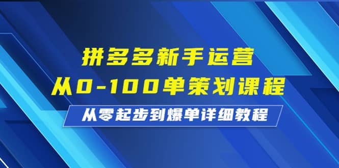 拼多多新手运营从0-100单策划课程，从零起步到爆单详细教程网赚项目-副业赚钱-互联网创业-独家轻创IP星泽云创
