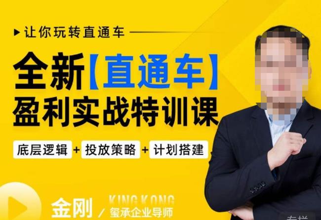玺承·全新直通车盈利实战特训课，从​底层逻辑详细拆解，从底层，策略到搭建，让你玩转直通车网赚项目-副业赚钱-互联网创业-独家轻创IP星泽云创