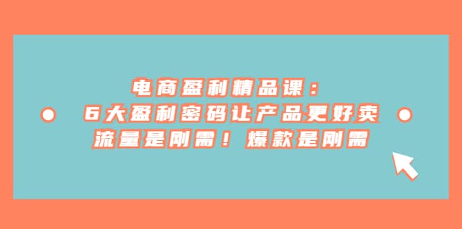 电商 盈利精品课：6大盈利 密码让产品更好卖，流量是刚需！爆款是刚需网赚项目-副业赚钱-互联网创业-独家轻创IP星泽云创