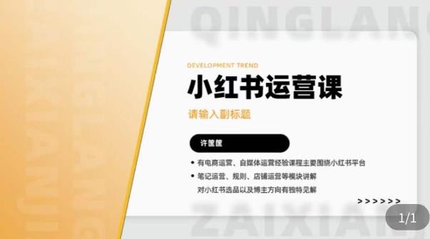 许筐筺·小红书运营课，​笔记运营、规则、店铺运营等模块讲解，学会自己独立运营小红书账号网赚项目-副业赚钱-互联网创业-独家轻创IP星泽云创