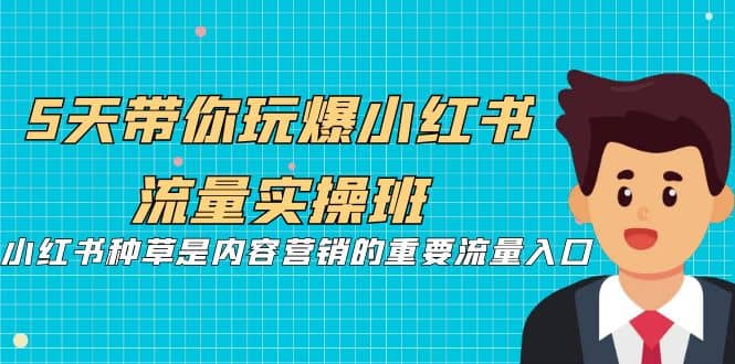 5天带你玩爆小红书流量实操班，小红书种草是内容营销的重要流量入口网赚项目-副业赚钱-互联网创业-独家轻创IP星泽云创
