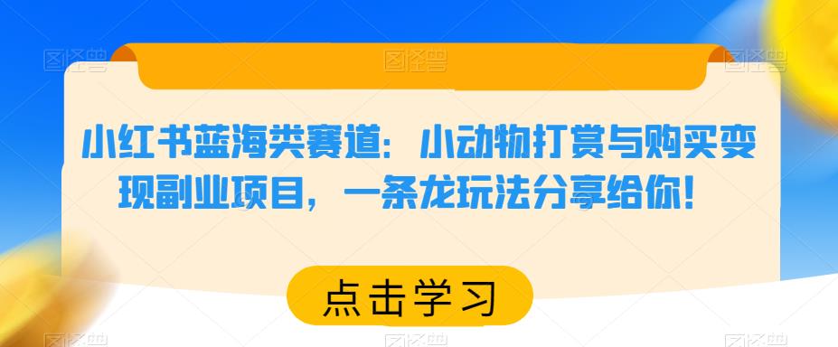 小红书蓝海类赛道：小动物打赏与购买变现副业项目，一条龙玩法分享给你！网赚项目-副业赚钱-互联网创业-独家轻创IP星泽云创