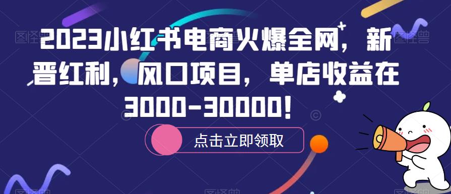 2023小红书电商火爆全网，新晋红利，风口项目，单店收益在3000-30000！网赚项目-副业赚钱-互联网创业-独家轻创IP星泽云创