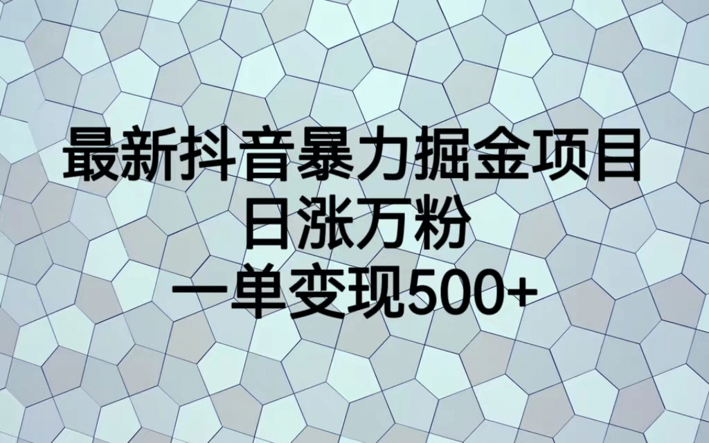 最火热的抖音暴力掘金项目，日涨万粉，多种变现方式，一单变现可达500+网赚项目-副业赚钱-互联网创业-独家轻创IP星泽云创