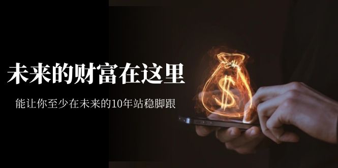某收费文章《未来的财富在这里》能让你至少在未来的10年站稳脚跟网赚项目-副业赚钱-互联网创业-独家轻创IP星泽云创