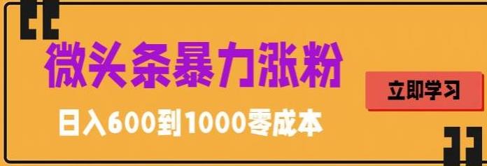 微头条暴力涨粉技巧搬运文案就能涨几万粉丝，简单0成本，日赚600【揭秘】网赚项目-副业赚钱-互联网创业-独家轻创IP星泽云创