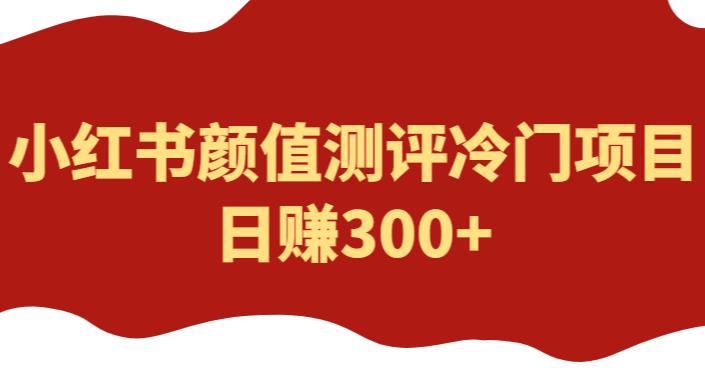 外面1980的项目，小红书颜值测评冷门项目，日赚300+【揭秘】网赚项目-副业赚钱-互联网创业-独家轻创IP星泽云创