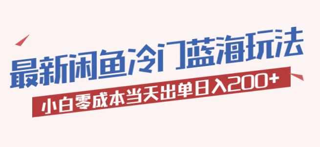 2023最新闲鱼冷门蓝海玩法，小白零成本当天出单日入200+【揭秘】网赚项目-副业赚钱-互联网创业-独家轻创IP星泽云创