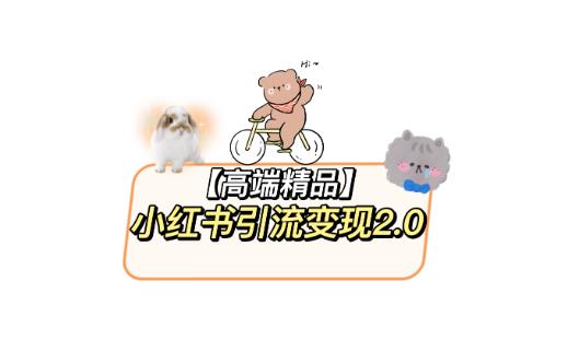 小红书最新引流变现教程，全网最新最详细的视频教程以及素材网赚项目-副业赚钱-互联网创业-独家轻创IP星泽云创