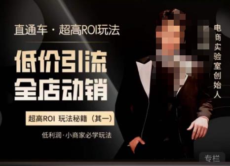 电商冰可乐·直通车·《低价引流·全店动销》，直通车·超高ROI玩法（其一）全店动销必学玩法网赚项目-副业赚钱-互联网创业-独家轻创IP星泽云创