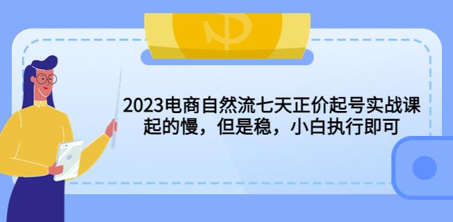2023电商自然流七天正价起号实战课：起的慢，但是稳，小白执行即可！网赚项目-副业赚钱-互联网创业-独家轻创IP星泽云创