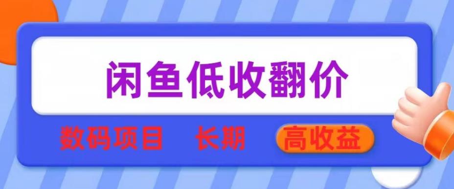 闲鱼低收翻价数码暴利项目，长期高收益【揭秘】网赚项目-副业赚钱-互联网创业-独家轻创IP星泽云创