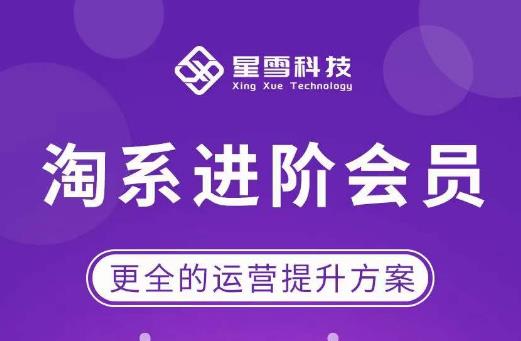 星雪·淘系进阶课程，快速提升突破技能流量瓶颈必备（更新2023年5月）网赚项目-副业赚钱-互联网创业-独家轻创IP星泽云创