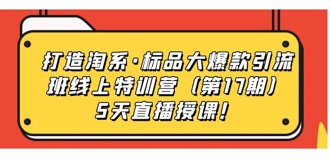 打造淘系·标品大爆款引流班线上特训营5天直播授课！网赚项目-副业赚钱-互联网创业-独家轻创IP星泽云创
