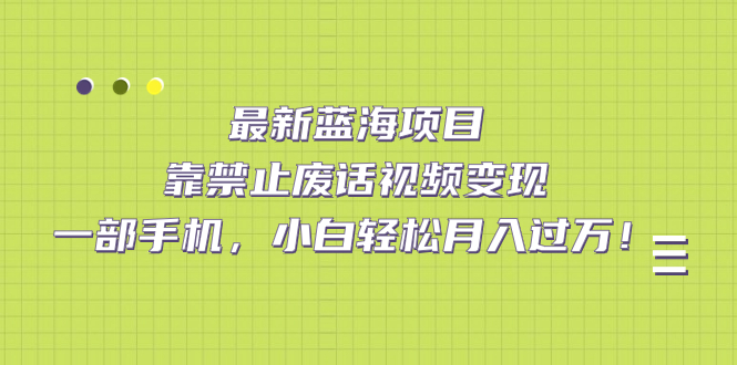 最新蓝海项目，靠禁止废话视频变现，一部手机，小白轻松月入过万！网赚项目-副业赚钱-互联网创业-独家轻创IP星泽云创