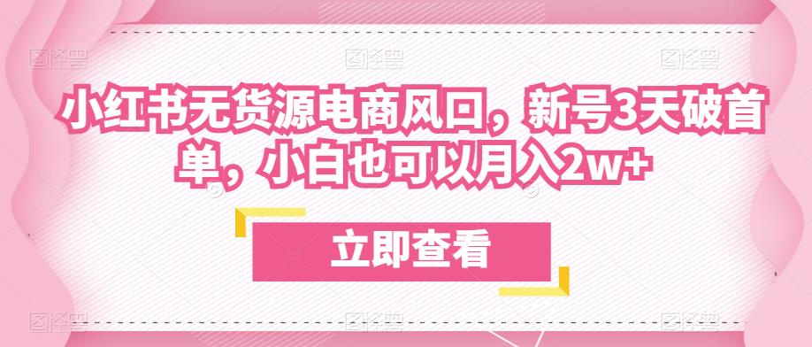 众狼电商余文小红书无货源电商风口，新号3天破首单，小白也可以月入2w+网赚项目-副业赚钱-互联网创业-独家轻创IP星泽云创