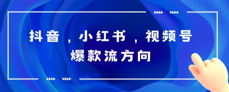 抖音，小红书，视频号爆款流视频制作，简单制作掌握流量密码网赚项目-副业赚钱-互联网创业-独家轻创IP星泽云创