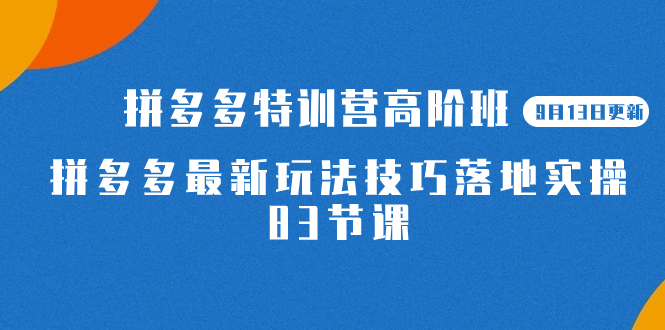 2023拼多多·特训营高阶班【9月13日更新】拼多多最新玩法技巧落地实操-83节网赚项目-副业赚钱-互联网创业-独家轻创IP星泽云创
