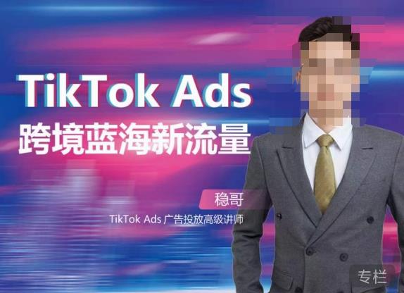 稳哥·如何投出高ROI的TikTok广告，开拓独立站卖家流量新蓝海网赚项目-副业赚钱-互联网创业-独家轻创IP星泽云创