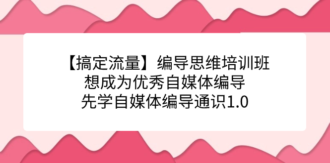 【搞定流量】编导思维培训班，想成为优秀自媒体编导先学自媒体编导通识1.0网赚项目-副业赚钱-互联网创业-独家轻创IP星泽云创